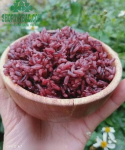 Cơm được nấu từ gạo nương tím