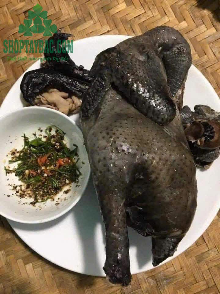 Gà đen Tây Bắc luộc chấm chẩm chéo