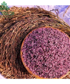 Gạo nương tím đặc sản Yên Bái