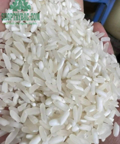 Gạo séng cù dài Mường Lò đúng vụ