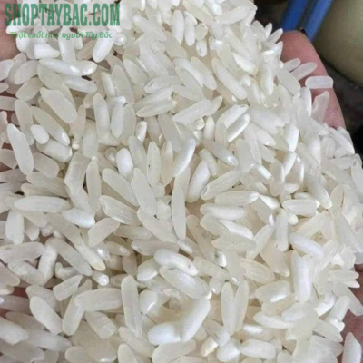 Gạo séng cù dài Mường Lò đúng vụ