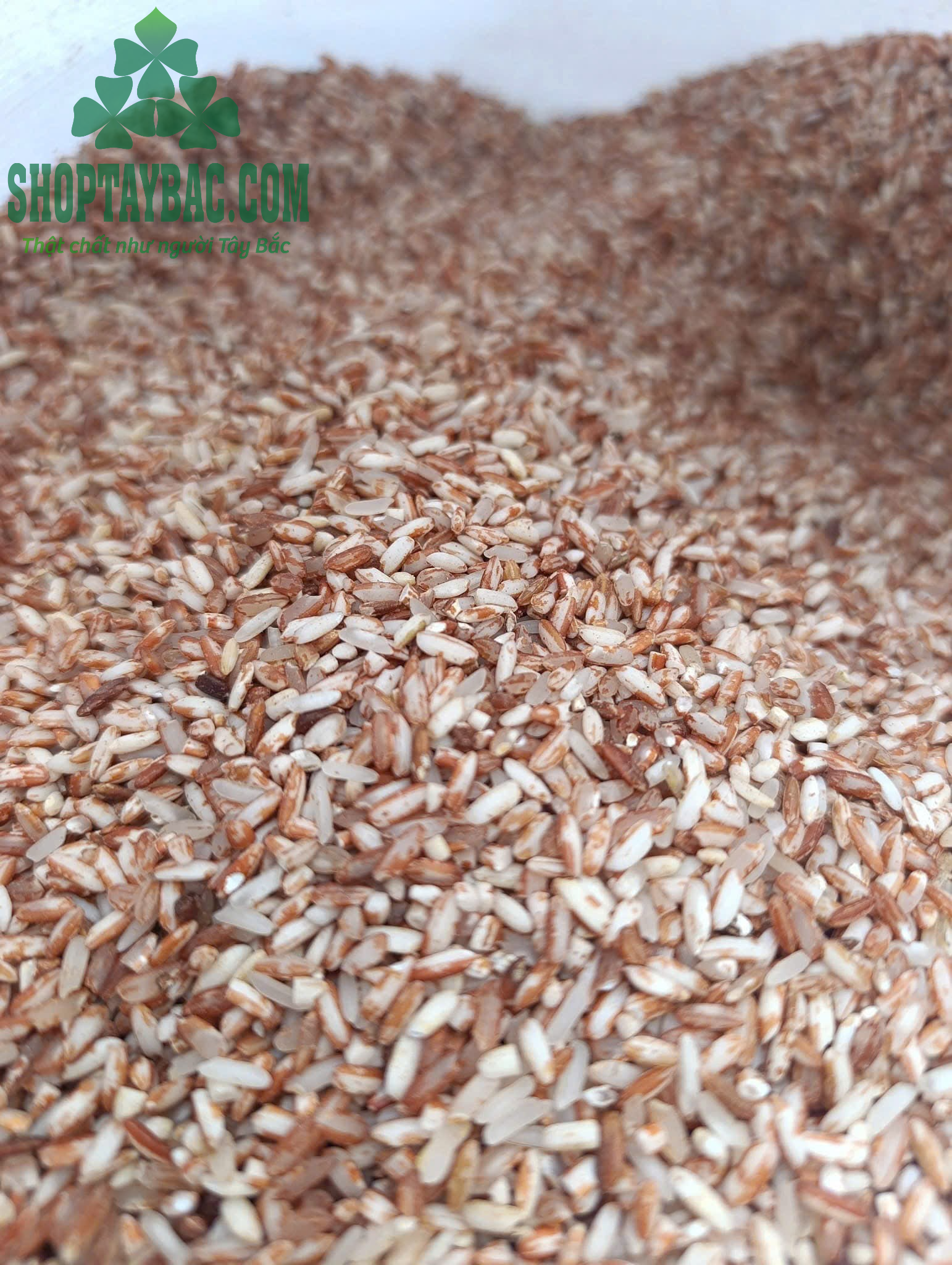 Gạo tẻ nương Trạm Tấu đặc sản Tây Bắc