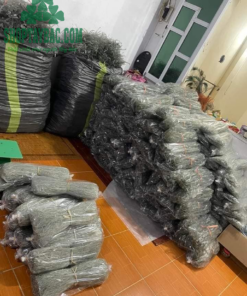 Kho sản xuất miến dong tại làng nghề ở Điện Biên