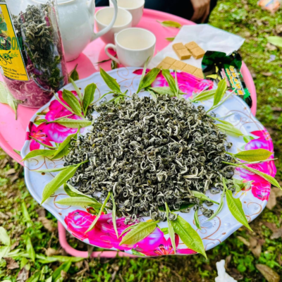 Lục trà hương thơm, vị đượm, bền vị