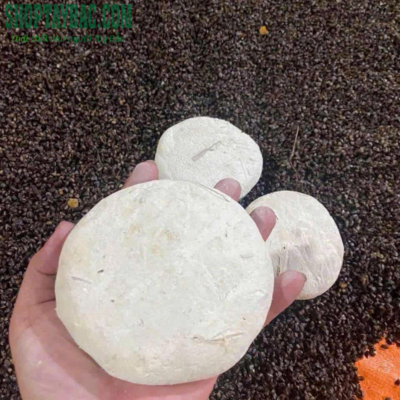 Men lá truyền thống của người Mông