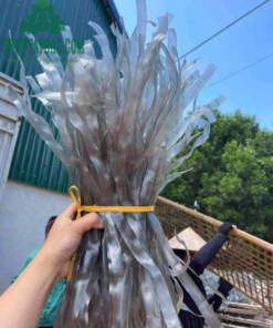 Miến Dong Điện Biên Sợi To (1 kg)
