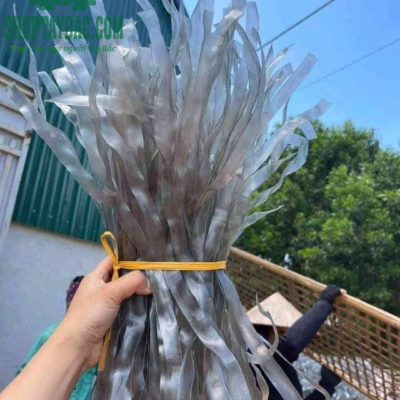 Miến Dong Điện Biên Sợi To (1 kg)