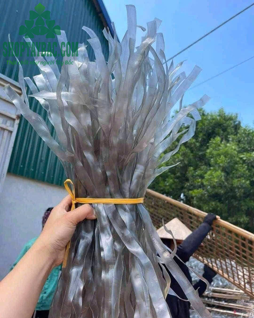 Miến Dong Điện Biên Sợi To (1 kg)