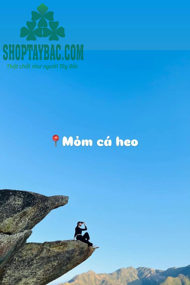 Mỏm cá heo