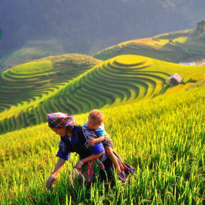 Ruộng bậc thang Trạm Tấu, Yên Bái