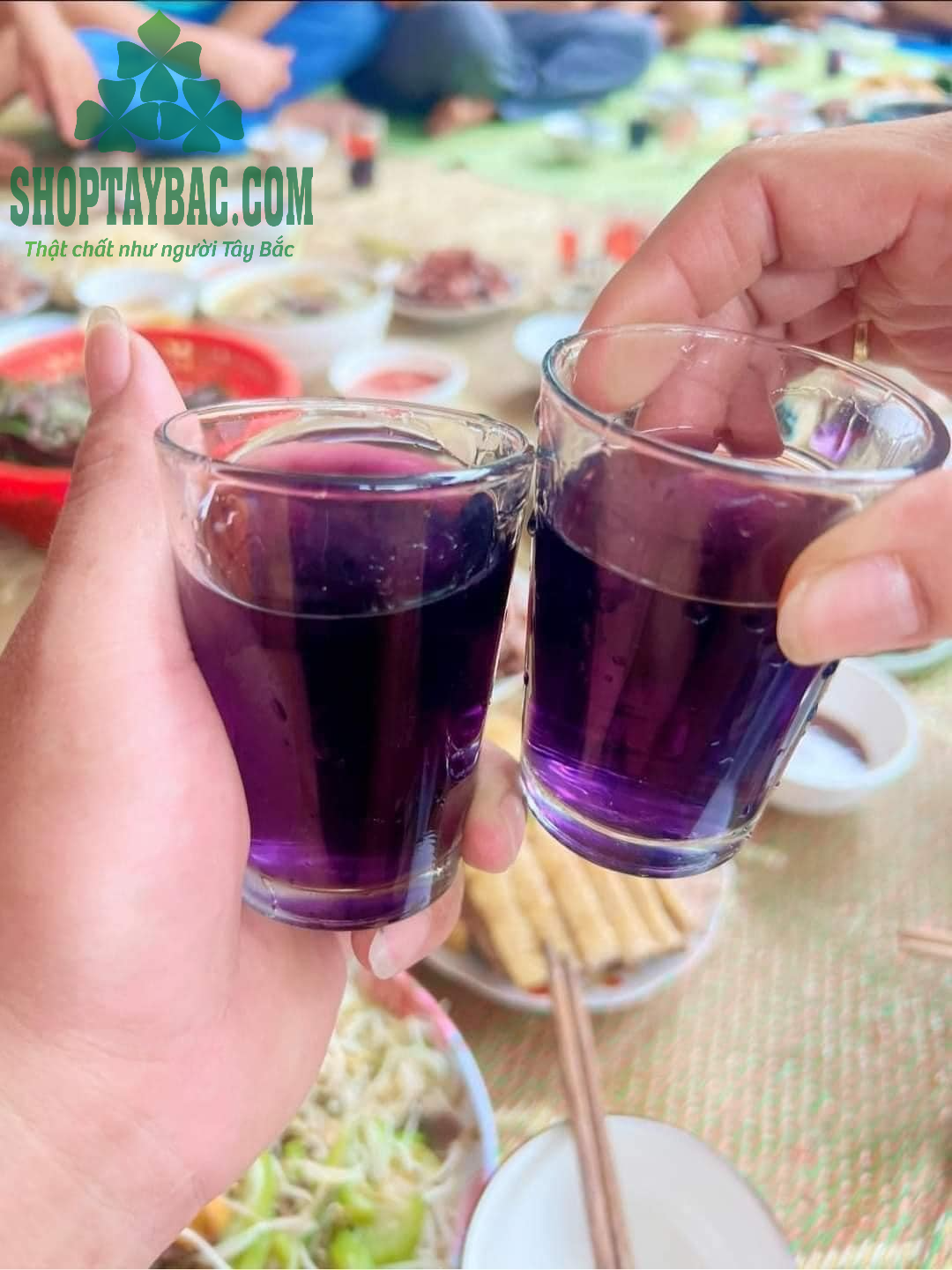Rượu ba kích tím được sử dụng cho các buổi liên hoan, hội họp