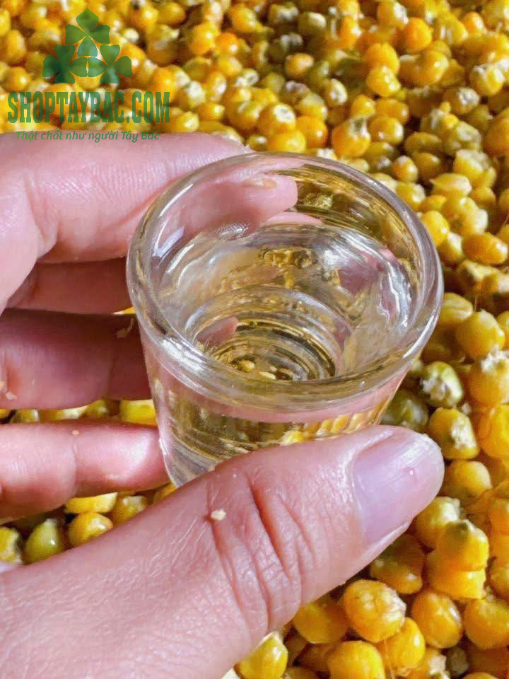 Rượu ngô men lá hạ thổ Hà Giang