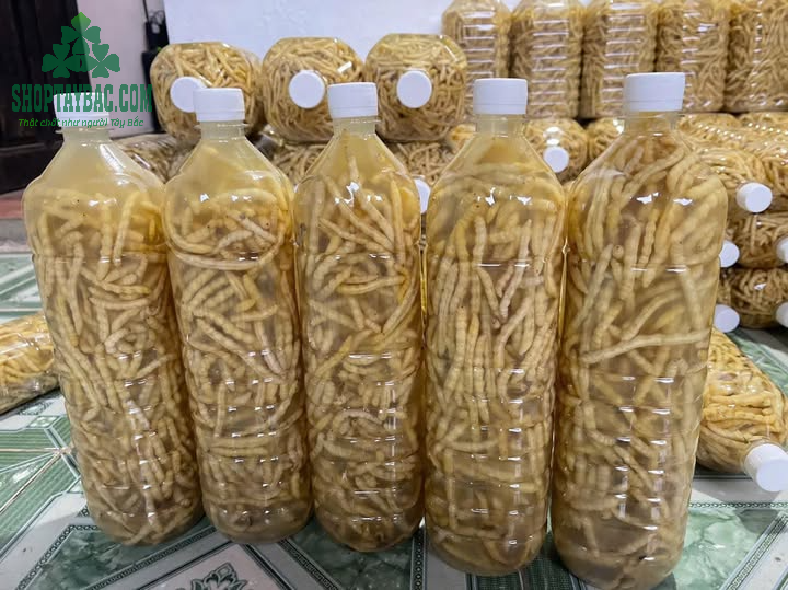 Rượu sâu chít