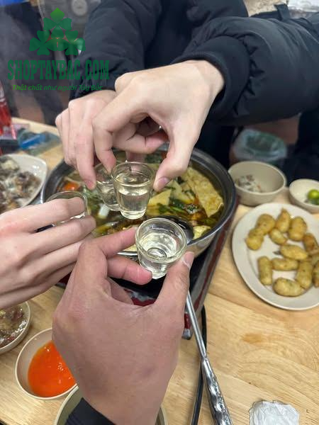 Rượu tam giác mạch đặc sản Hà Giang