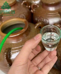 Rượu tam giác mạch Hà Giang (1 lít)
