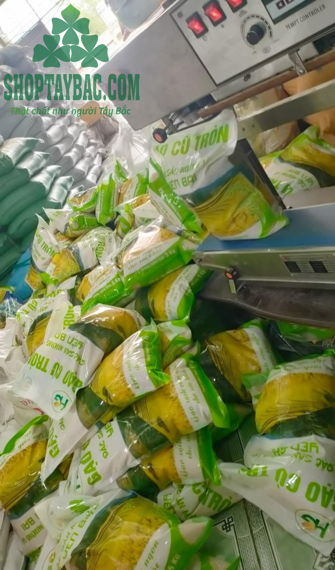 Séng tròn Mường Lò đóng gói 5kg, 10kg