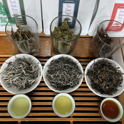 So sánh Hồng trà, Bạch trà và lục trà