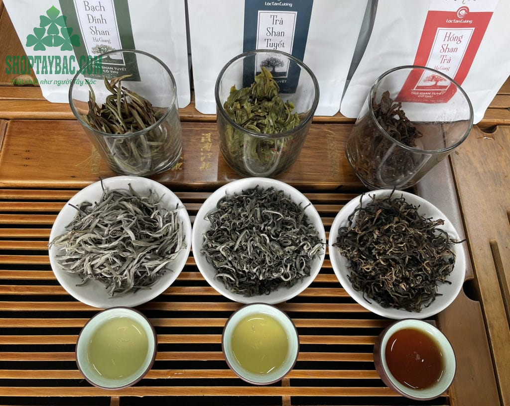 So sánh Hồng trà, Bạch trà và lục trà