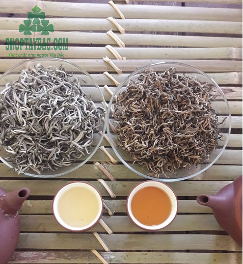 So sánh bạch trà và hồng trà