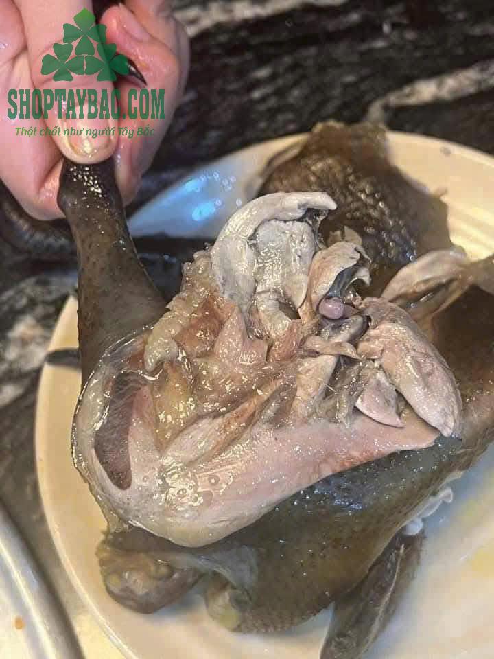 Thịt gà đen hơ mông chắc, dai, ngọt