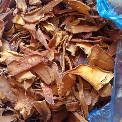 Thu mua măng lưỡi lợn từ bà con Sơn La