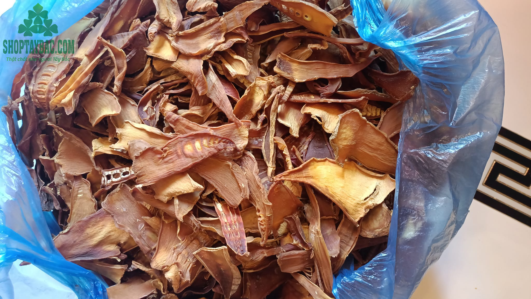 Thu mua măng lưỡi lợn từ bà con Sơn La