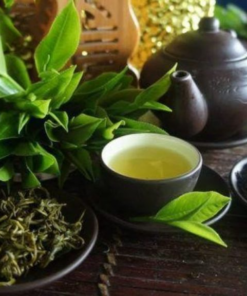 Trà Shan Tuyết Tà Xùa
