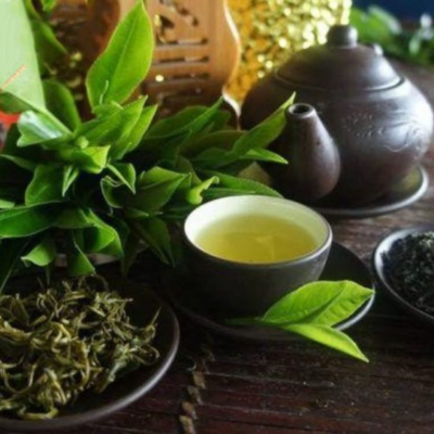 Trà Shan Tuyết Tà Xùa