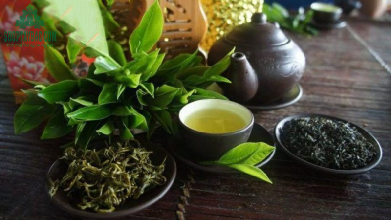 Trà Shan Tuyết Tà Xùa