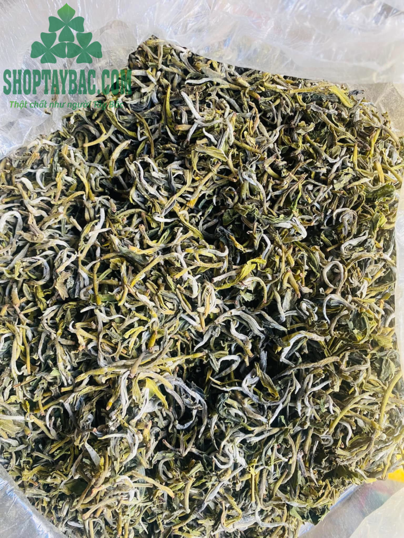 Trà Shan Tuyết Suối Giàng, Yên Bái (500gr)