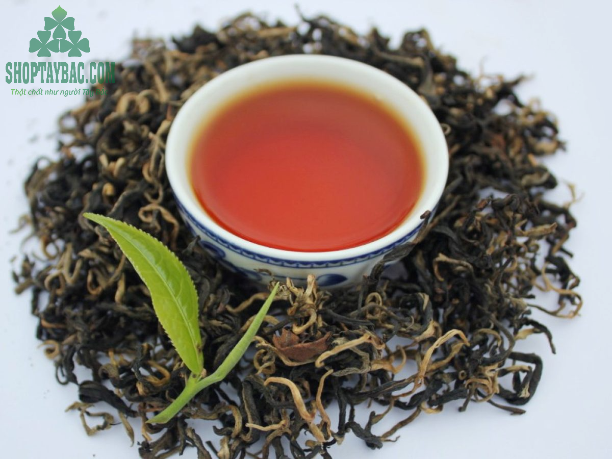 Trà shan tuyết Hà Giang làm quà biếu vô cùng ý nghĩa