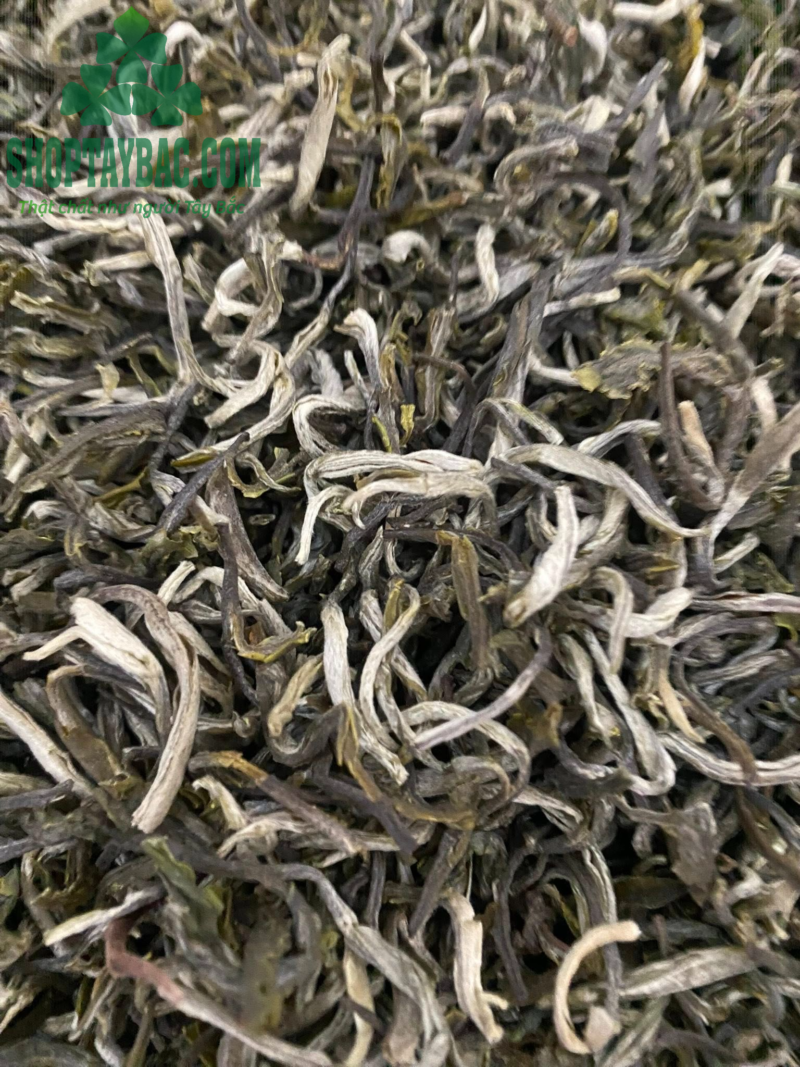 Trà Shan Tuyết Tà Xùa