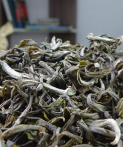 Trà shan tuyết sao sấy khô
