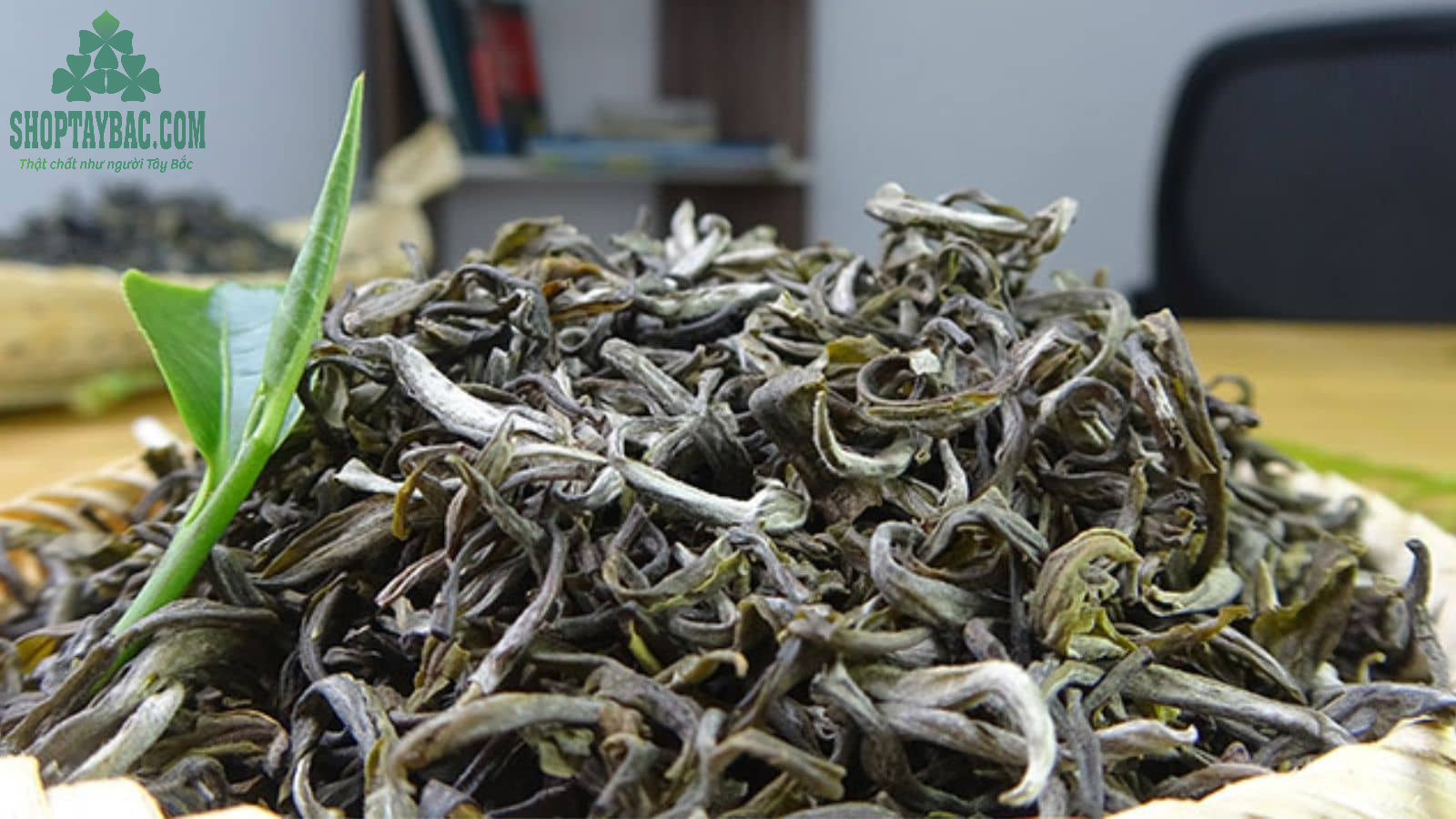 Trà shan tuyết sao sấy khô