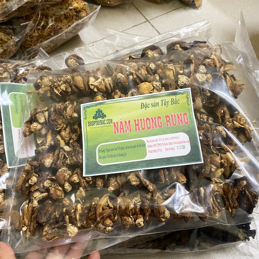 Nấm hương rừng Tây Bắc tự nhiên thơm ngon loại 1