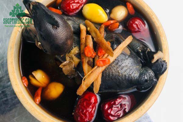 Canh gà đen H'Mông hầm táo đỏ, kỷ tử