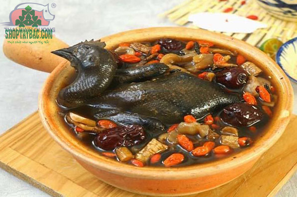 Gà đen H'Mông hầm thuốc bắc bổ dưỡng