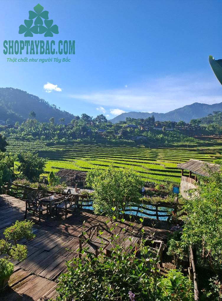 1 homestay tại suối khoáng nóng Trạm Tấu