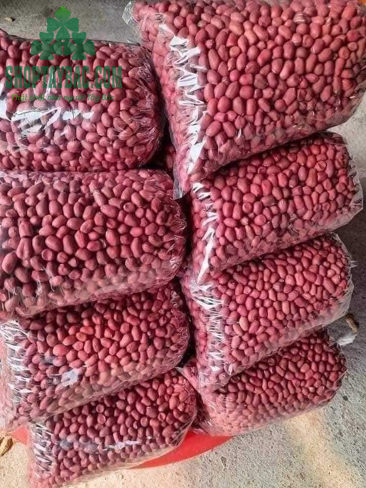 Lạc đỏ Bắc Hà Tây Bắc đóng túi 1 kg ship toàn quốc