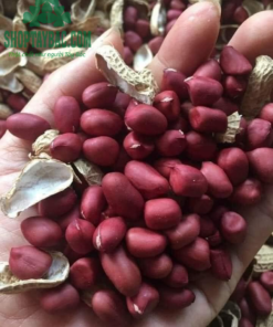 Lạc đỏ Bắc Hà (3kg)