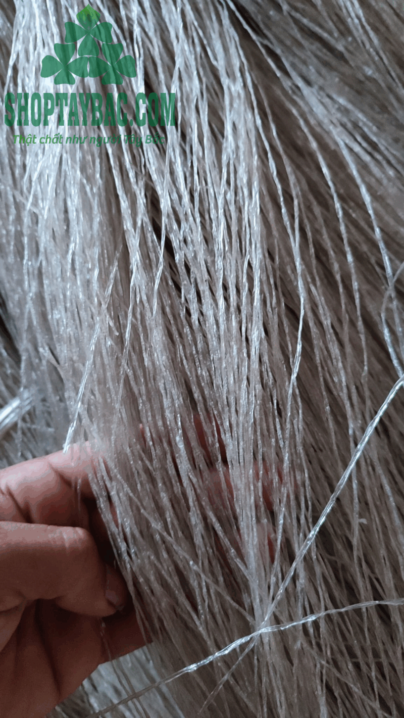 Miến dong Bình Lư (1 kg)