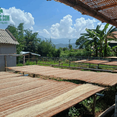 Miến dong Bình Lư sản xuất thủ công từ người dân Lai Châu