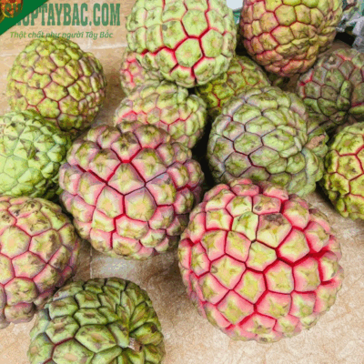 Quả na rừng thu mua trực tiếp từ bà con