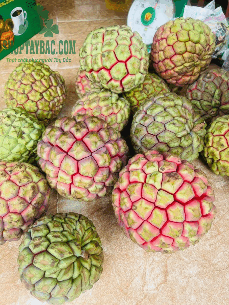 Quả na rừng Tây Bắc (1 kg)