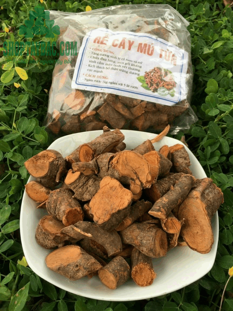 Rễ Mú Từn khô (1 kg)