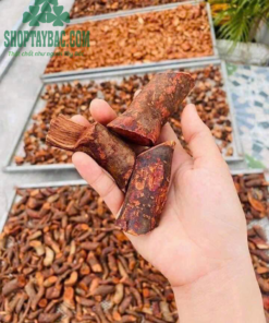 Rễ Mú Từn khô (1 kg)