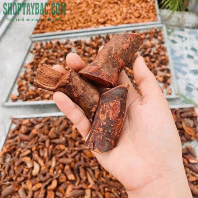 Rễ Mú Từn khô (1 kg)