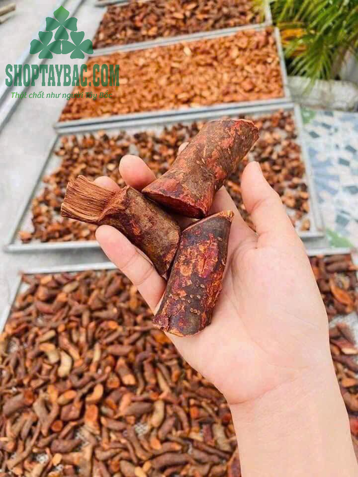 Rễ Mú Từn khô (1 kg)