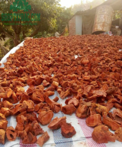 Rễ tú mừn được thu hái, phơi khô hoàn toàn tự nhiên