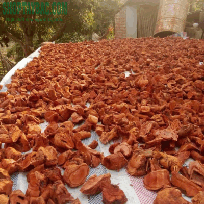 Rễ tú mừn được thu hái, phơi khô hoàn toàn tự nhiên